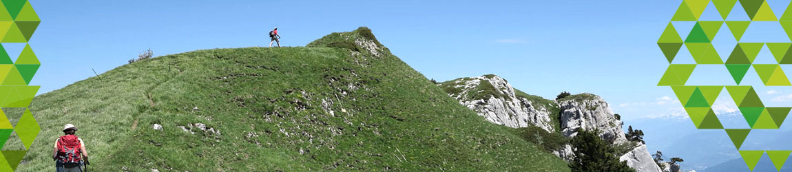 G1X_01578.jpg